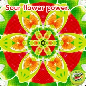 Ice Breakers Sours Sugar Free Mints, Watermelon, Green Apple, Tangerine - Pack of 8 - Image 8